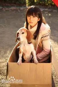 《春之幻》：迷雾笼罩下的真相，一场关于记忆与救赎的奇幻之旅