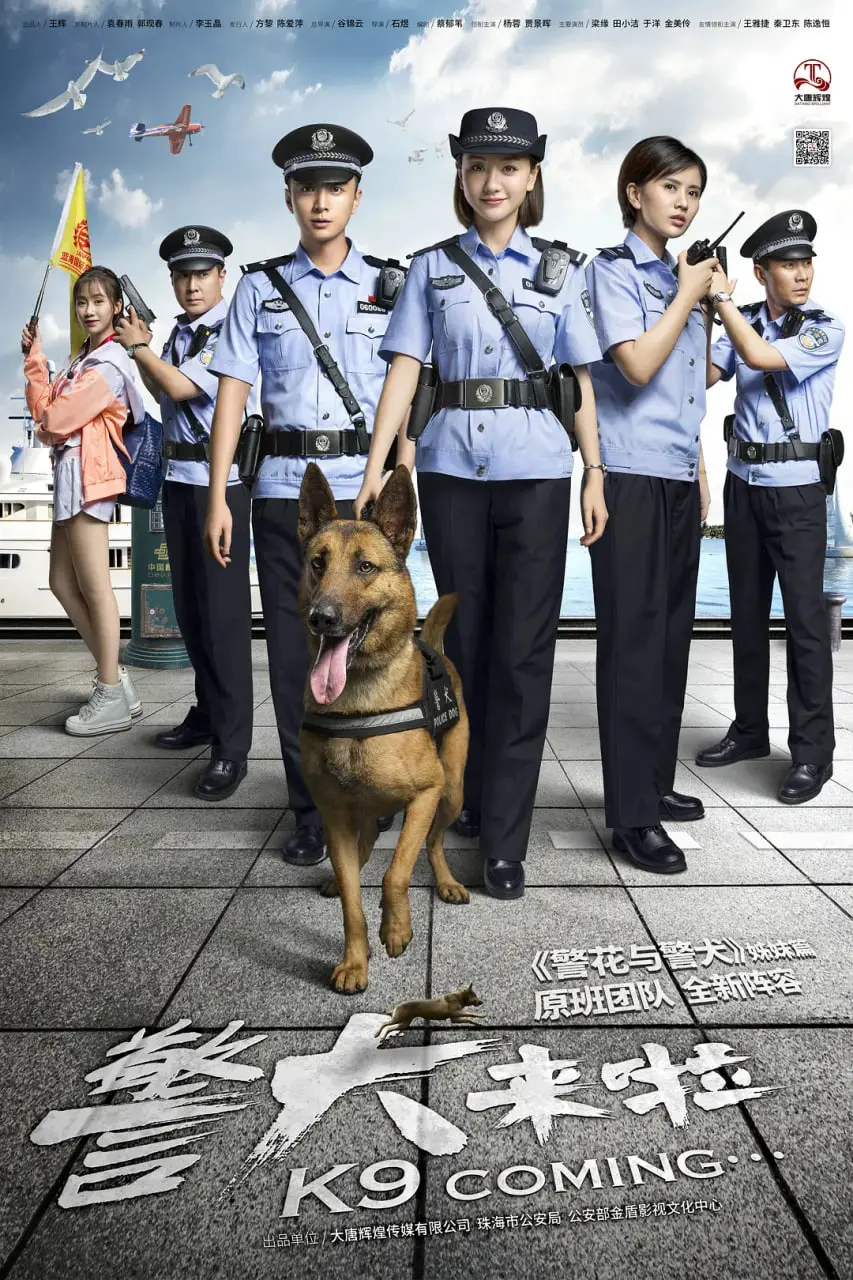 《警犬来啦》：萌犬的治愈力量，一场意想不到的都市“浪漫奇遇”！